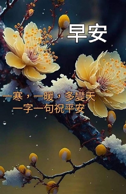 按我可連結至更清楚的圖片